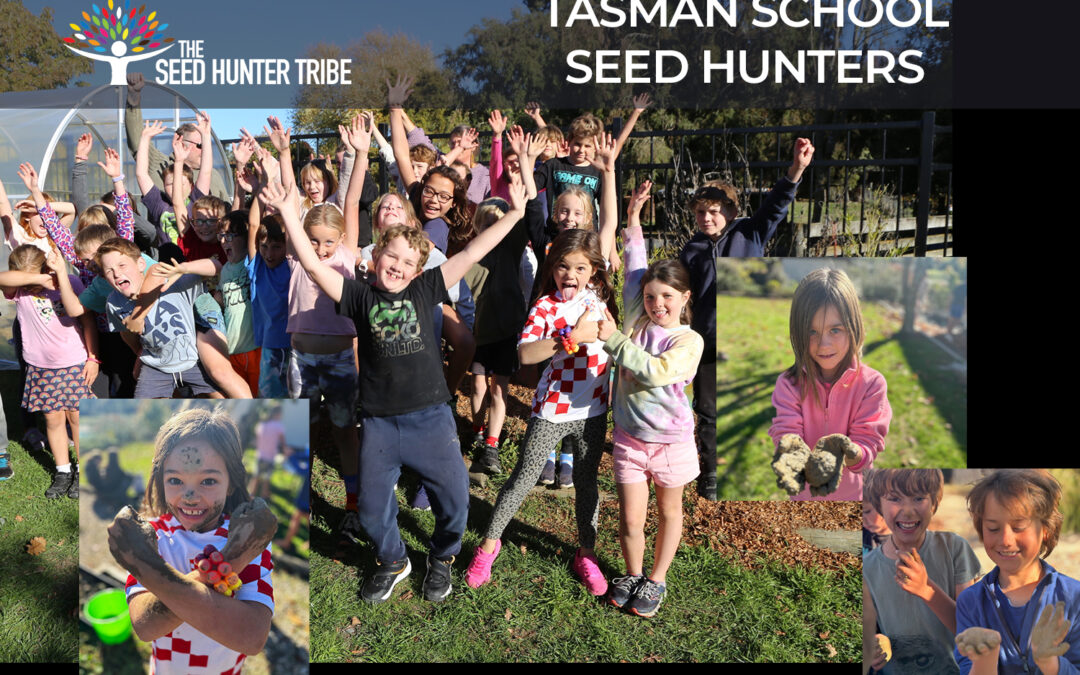 A Thrilling Seed Hunter Day at Tasman School